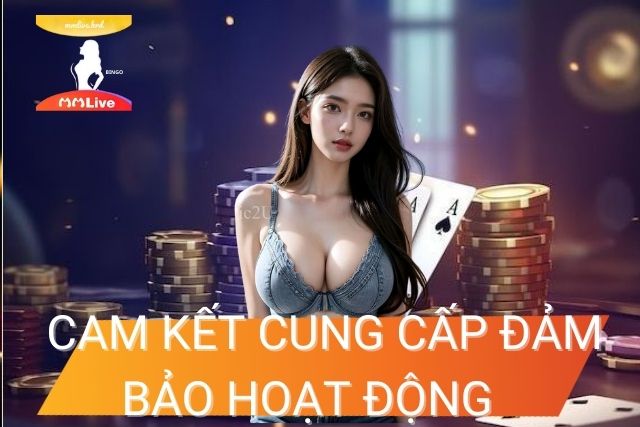 MMlive cam kết cung cấp, đảm bảo hoạt động ổn định