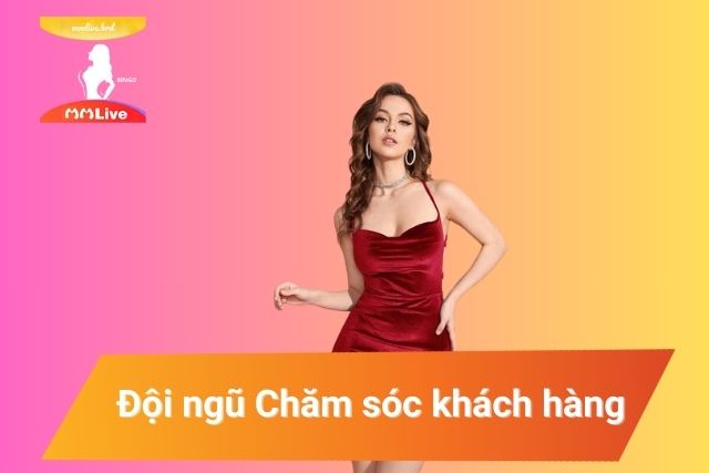 Đội ngũ Chăm sóc khách hàng