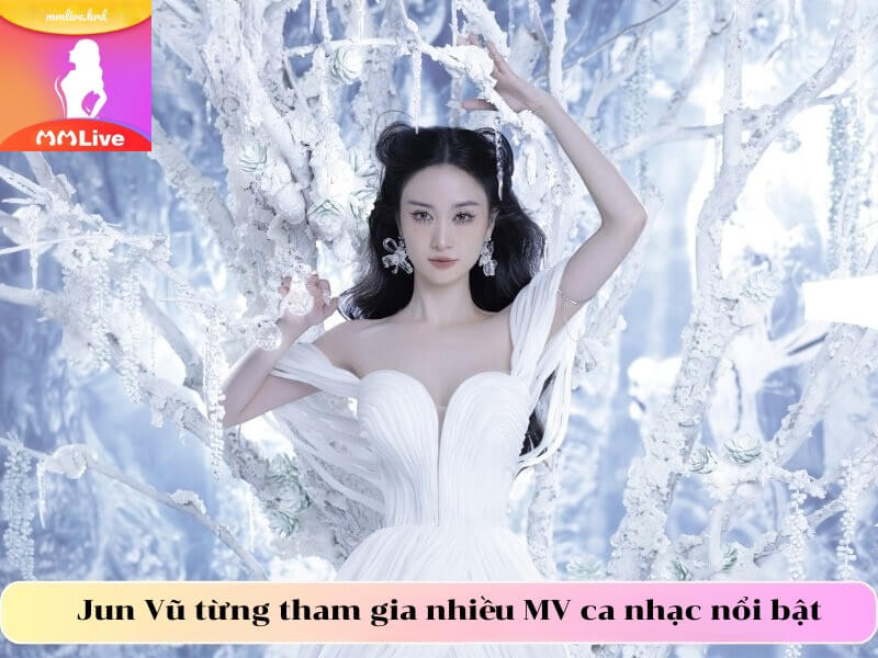 Jun Vũ từng tham gia nhiều MV ca nhạc nổi bật