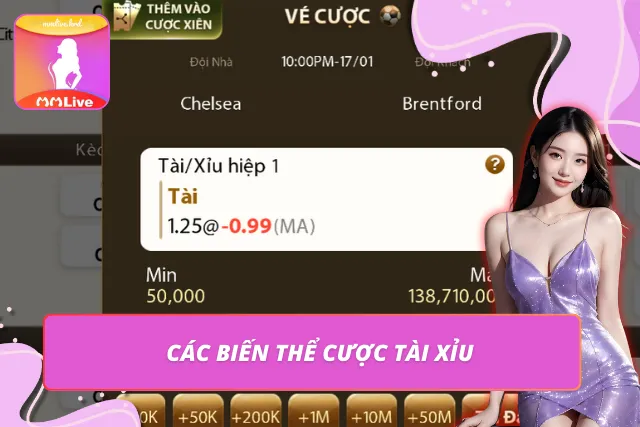 Những kiểu cược tài xỉu phổ biến thường áp dụng