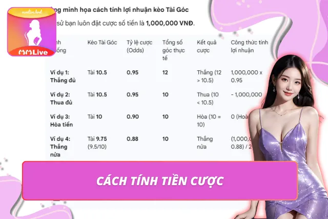 Bảng minh họa cách tính lợi nhuận khi chơi tài góc