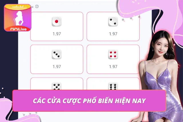 Một số cửa cược phổ biến trong tài xỉu hiện nay 